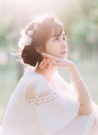 妙妙的治愈人心宠物店章节列表